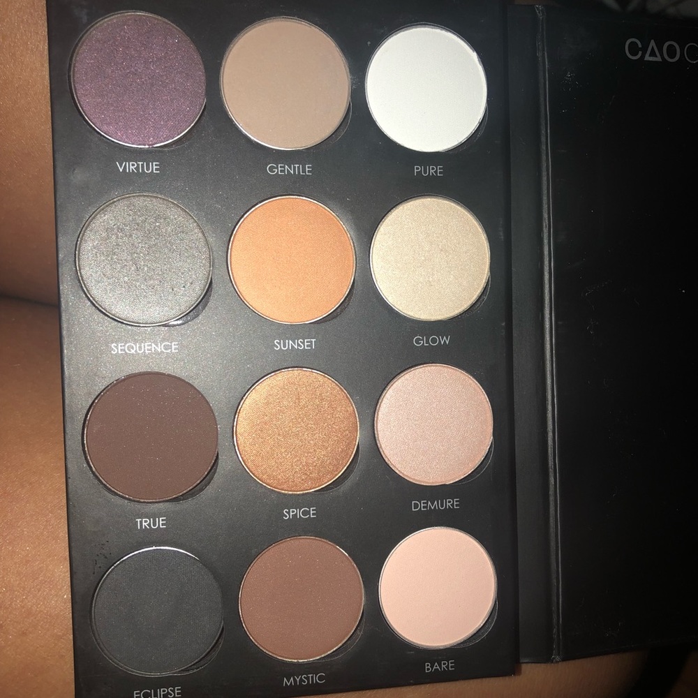 CAO cosmetics pro makeup arts eye palette Smokey